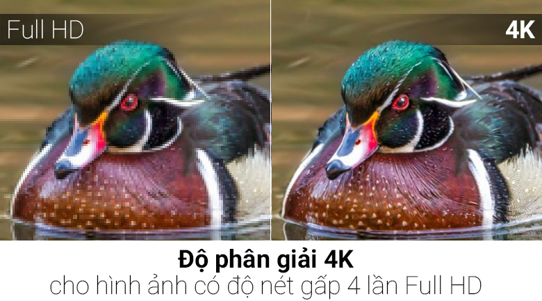 Smart Tivi NanoCell LG 4K 49 inch 49SK8000PTA