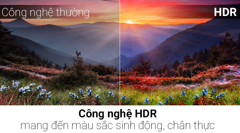 Smart Tivi NanoCell LG 4K 49 inch 49SK8000PTA