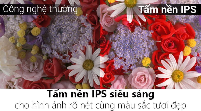 Smart Tivi Panasonic 4K 49 inch TH-49FX800V