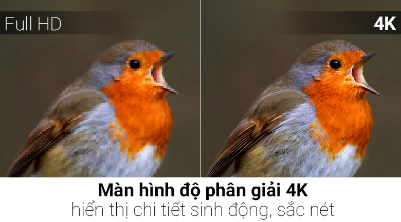 Android Tivi TCL 4K 49 inch L49C6-UF