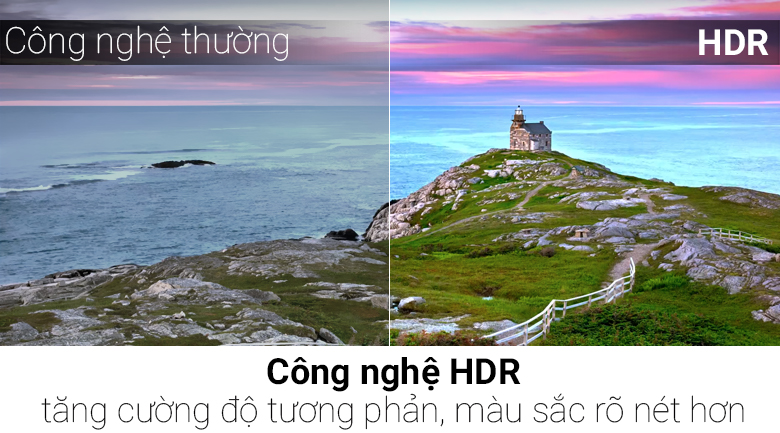 Android Tivi TCL 4K 49 inch L49C6-UF