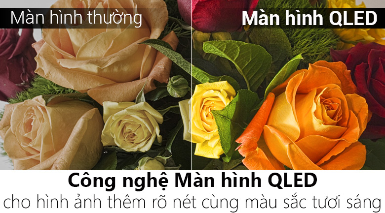 Android Tivi QLED TCL 55 inch L55X4