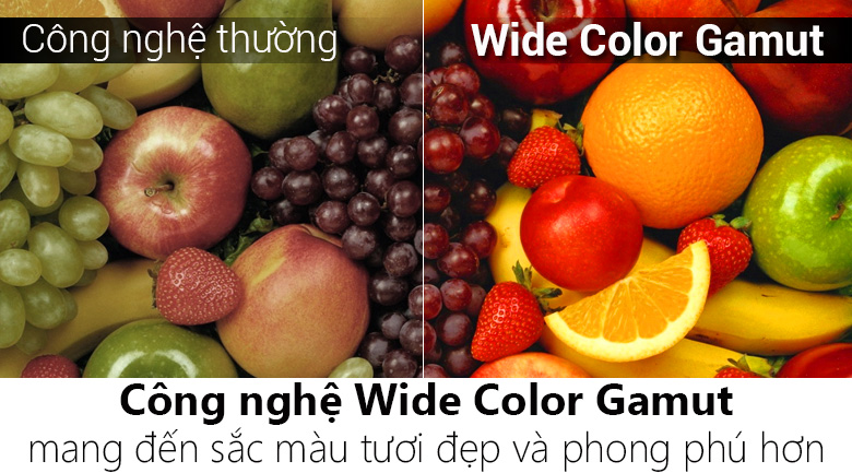 Android Tivi QLED TCL 55 inch L55X4