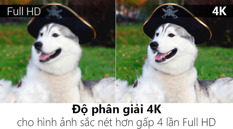 Smart Tivi Cong TCL 4K 55 inch L55P5-UC