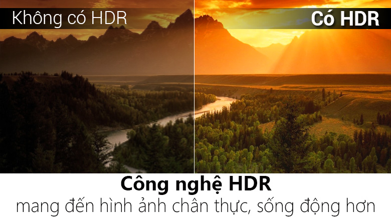 Smart Tivi Cong TCL 4K 55 inch L55P5-UC