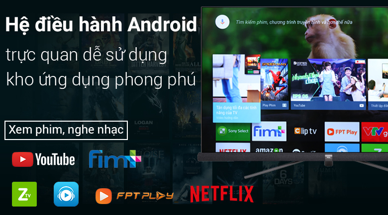 Android Tivi TCL 4K 55 inch L55C6-UF