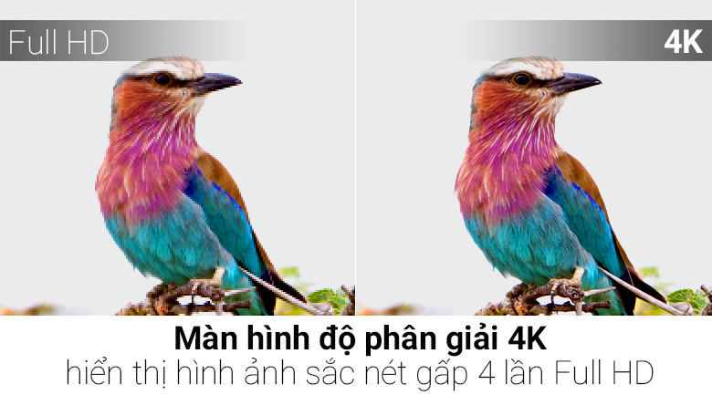 Android Tivi TCL 4K 55 inch L55C6-UF