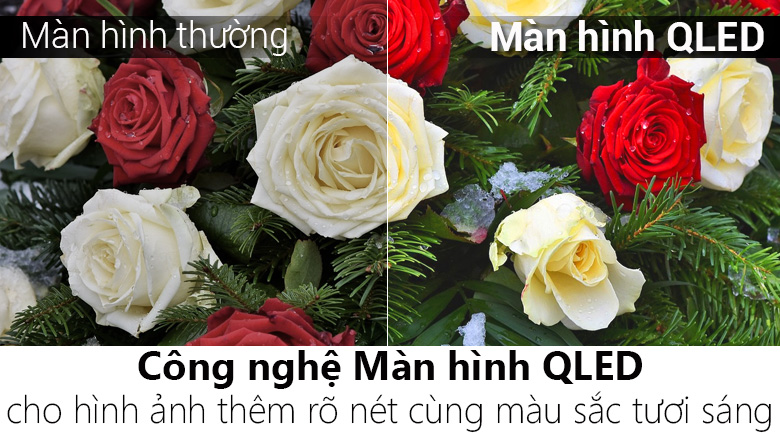 Android Tivi QLED TCL 65 inch L65X4