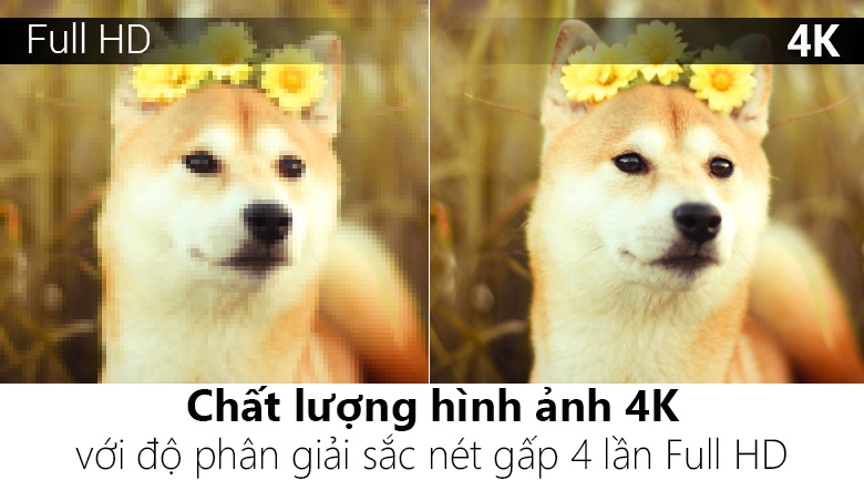 Android Tivi QLED TCL 65 inch L65X4