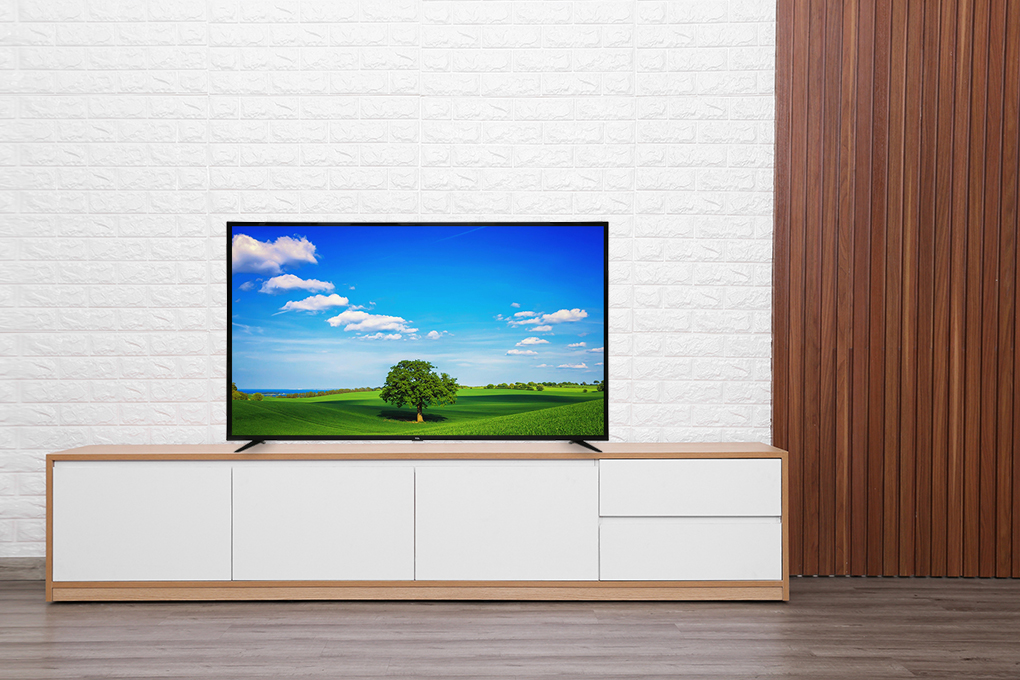 Smart Tivi TCL 4K 55 inch L55P65-UF - 9