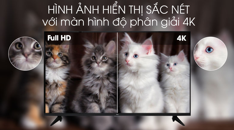 Smart Tivi TCL 4K 43 inch L43P65-UF