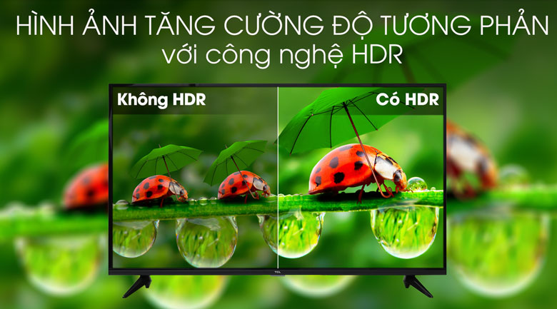 Smart Tivi TCL 4K 50 inch L50P65-UF