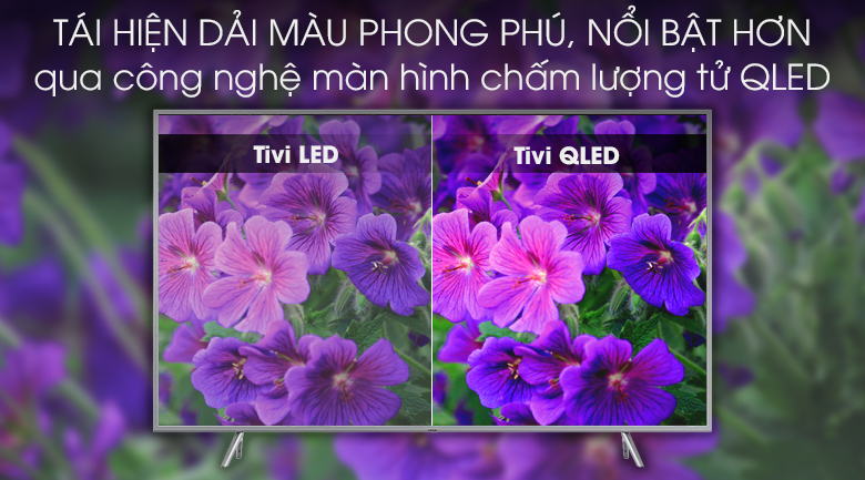 Smart Tivi QLED Samsung 4K 65 inch QA65Q65R