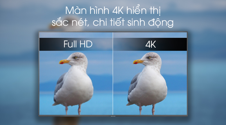 Smart Tivi QLED Samsung 4K 65 inch QA65Q65R