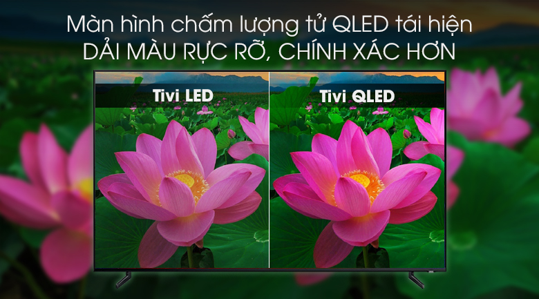 Smart Tivi QLED Samsung 8K 82 inch QA82Q900R - 4