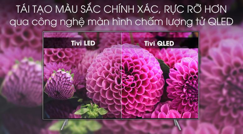 Smart Tivi QLED Samsung 4K 55 inch QA55Q75R