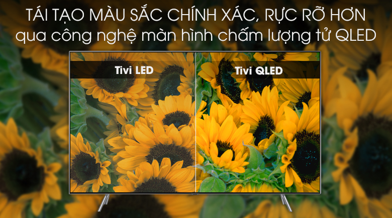 Smart Tivi QLED Samsung 4K 65 inch QA65Q75R