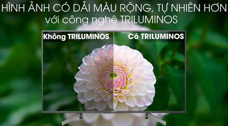 Android Tivi Sony 4K 43 inch KD-43X8000G