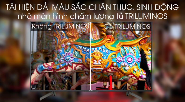 Android Tivi Sony 4K 65 inch KD-65X8000G