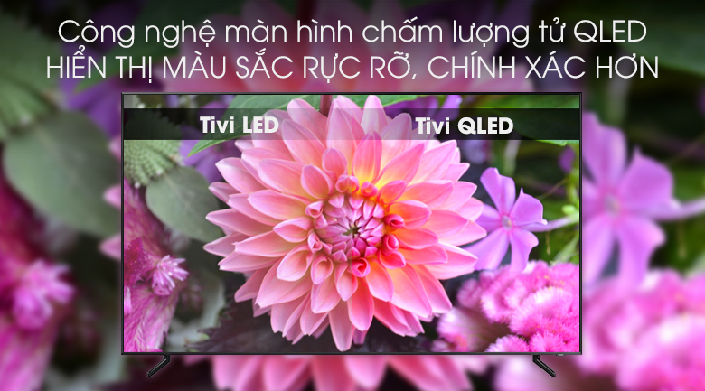 Smart Tivi QLED Samsung 8K 98 inch QA98Q900R