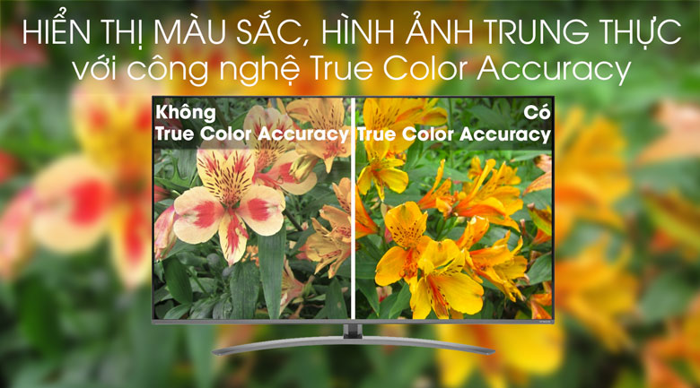 Smart Tivi NanoCell LG 4K 49 inch 49SM8100PTA