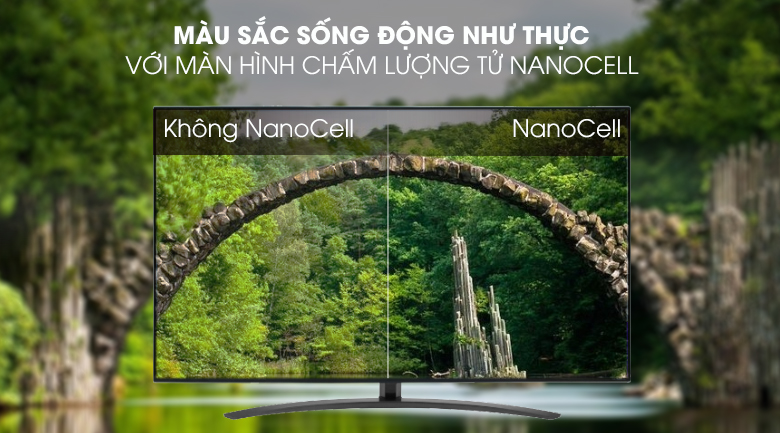 <p>&nbsp;</p>
<div id="eJOY__extension_root" class="eJOY__extension_root_class" style="all: unset;">&nbsp;</div>