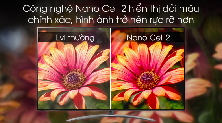 Smart Tivi NanoCell LG 4K 75 inch 75SM9000PTA