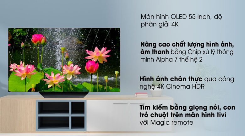 Smart Tivi OLED LG 4K 55 inch 55B9PTA