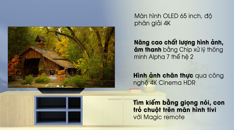 Smart Tivi OLED LG 4K 65 inch 65B9PTA