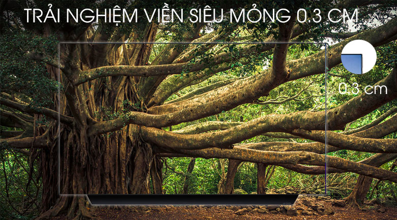 Smart Tivi OLED LG 4K 55 inch 55C9PTA