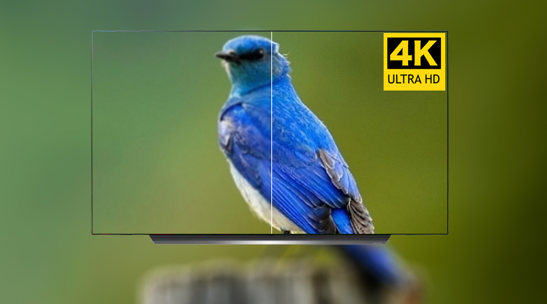 Smart Tivi OLED LG 4K 55 inch 55C9PTA có độ phân giải 4k sắc nét Smart Tivi OLED LG 4K 55 inch 55C9PTA có độ phân giải 4k sắc nét