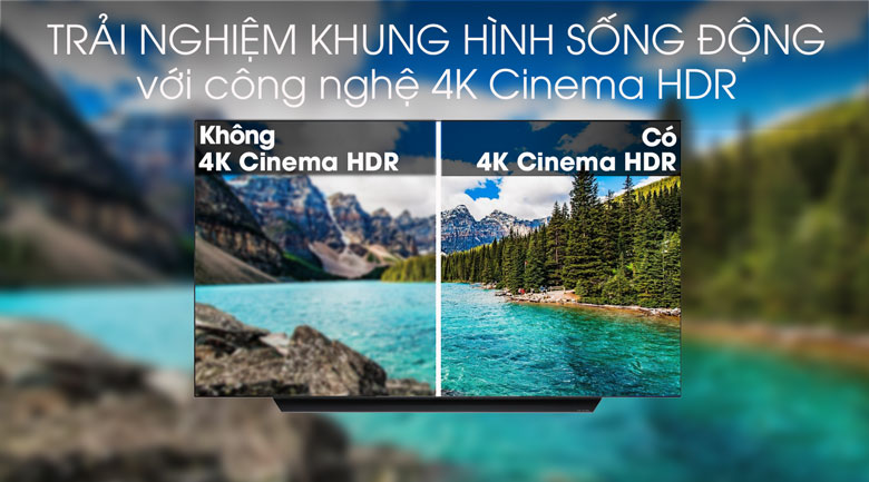 Smart Tivi OLED LG 4K 65 inch 65C9PTA