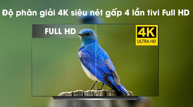 Smart Tivi OLED LG 4K 65 inch 65C9PTA có độ phân giải 4K