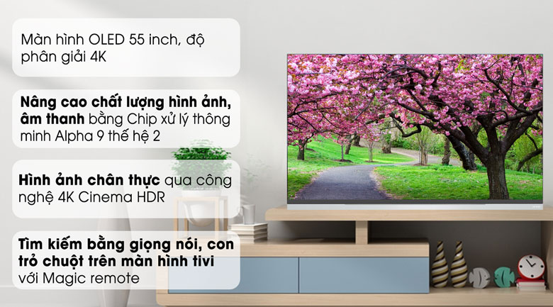 Smart Tivi OLED LG 4K 55 inch 55E9PTA