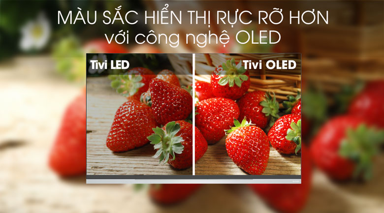 Smart Tivi OLED LG 4K 65 inch 65E9PTA