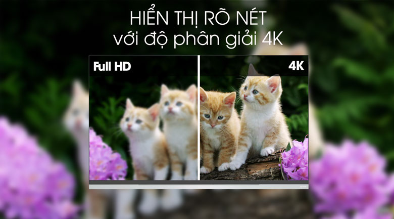 Smart Tivi OLED LG 4K 65 inch 65E9PTA