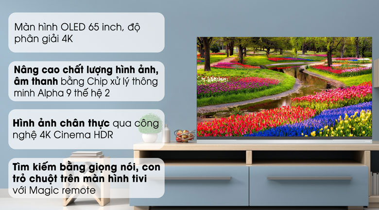 Smart Tivi OLED LG 4K 65 inch 65E9PTA
