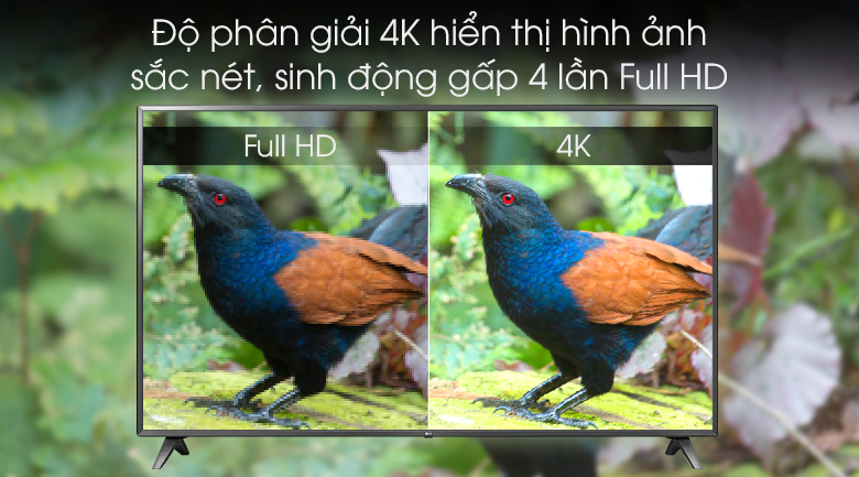 Smart Tivi LG 4K 75 inch 75UM7500PTA