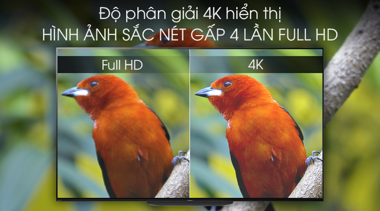 Android Tivi OLED Sony 4K 55 inch KD-55A9G