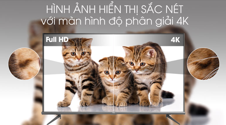 Android Tivi TCL 4K 55 inch L55A8