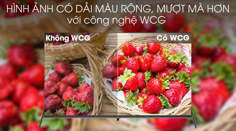 Android Tivi TCL 4K 50 inch L50P8S