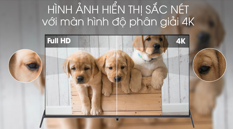 Android Tivi TCL 4K 50 inch L50P8S