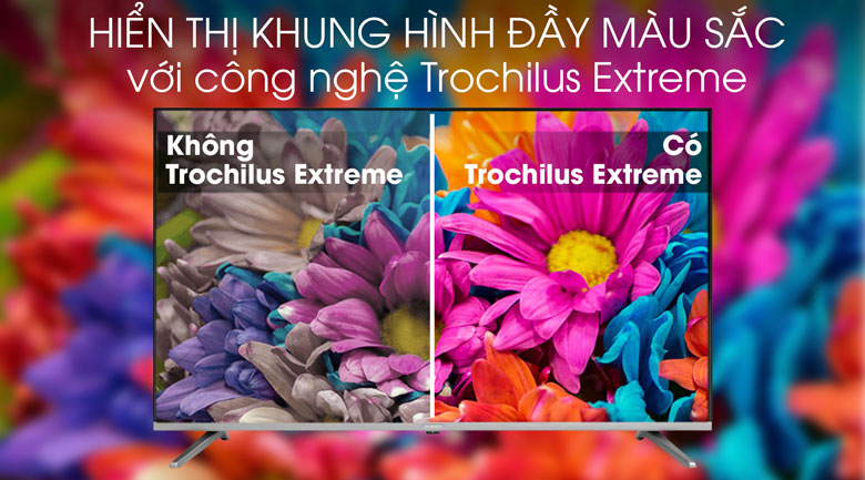 Smart Tivi Skyworth 43 inch 43TB5000