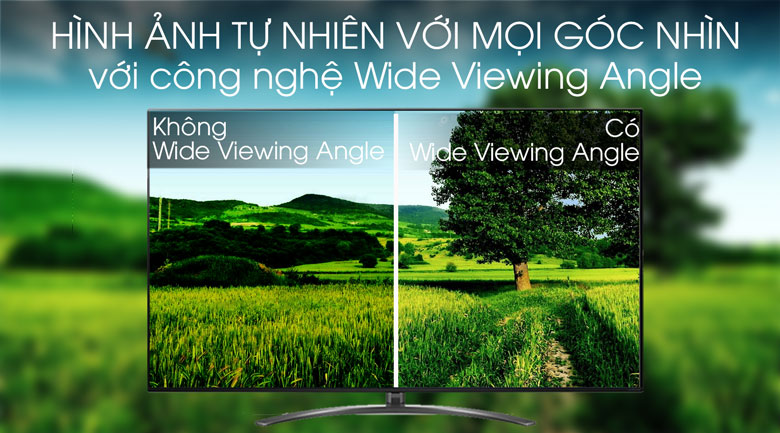 Smart Tivi NanoCell LG 8K 75 inch 75SM9900PTA