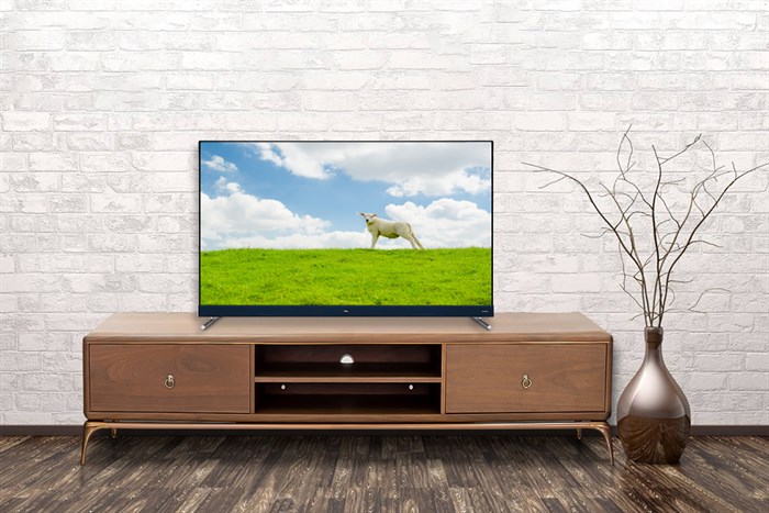 Android Tivi TCL 4K 55 inch L55C8