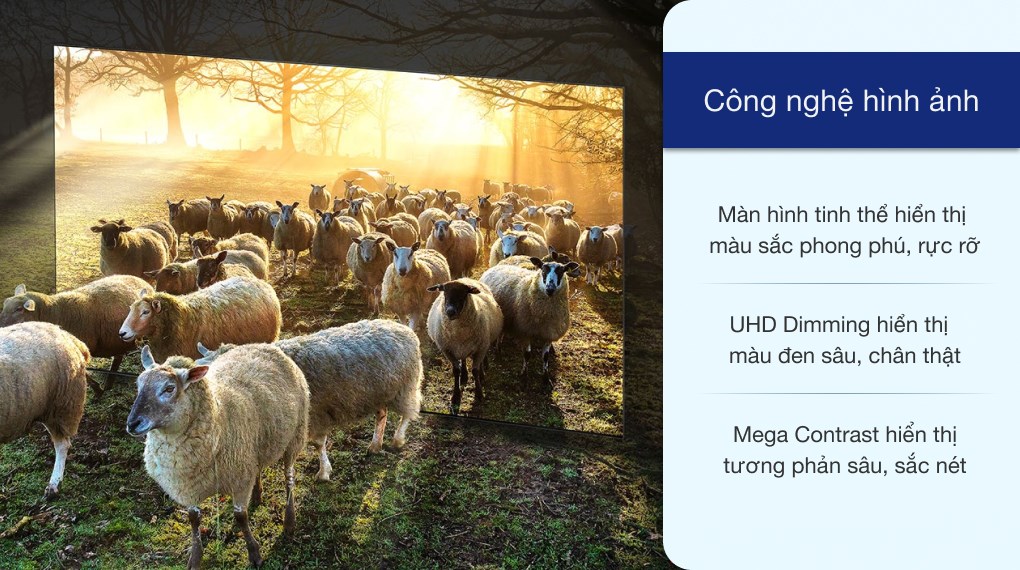 Smart Tivi Samsung 4K Crystal UHD 43 inch UA43TU8100