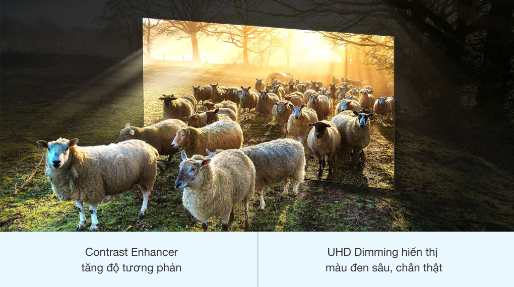 Smart Tivi Samsung 4K 43 inch UA43TU8500