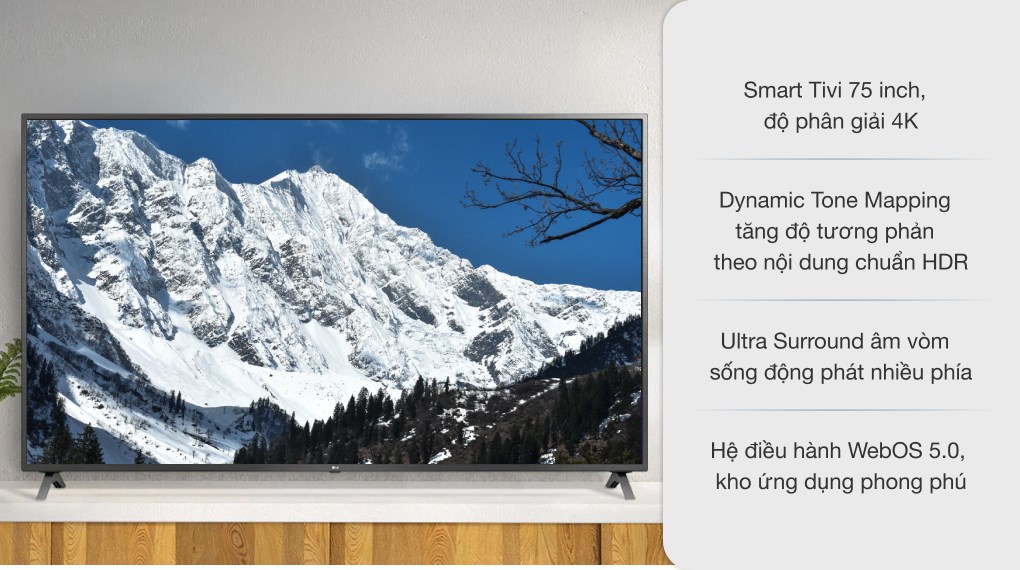 Smart Tivi LG 4K 75 inch 75UN7290PTD