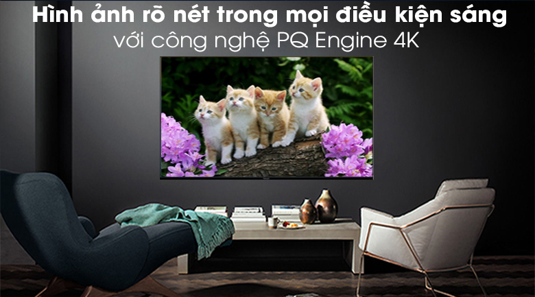 Android Tivi Vsmart 4K 43 inch 43KD6600