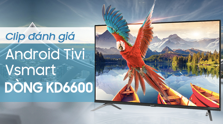 Android Tivi Vsmart 4K 43 inch 43KD6600